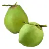 Green Coconut
